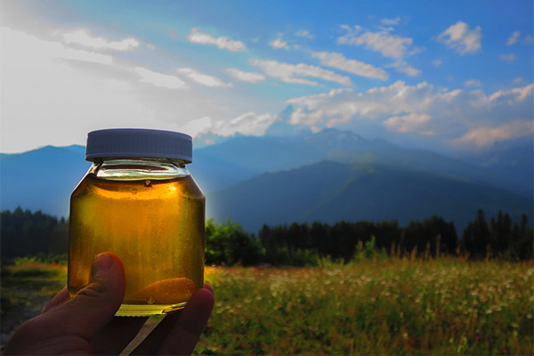 Využití horského medu v medicíně