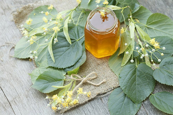وصفات الطب التقليدي مع العسل الزيزفون