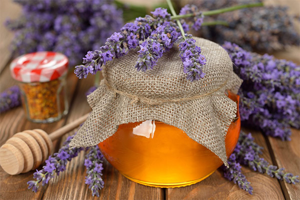Vad är lavendel honung bra för?