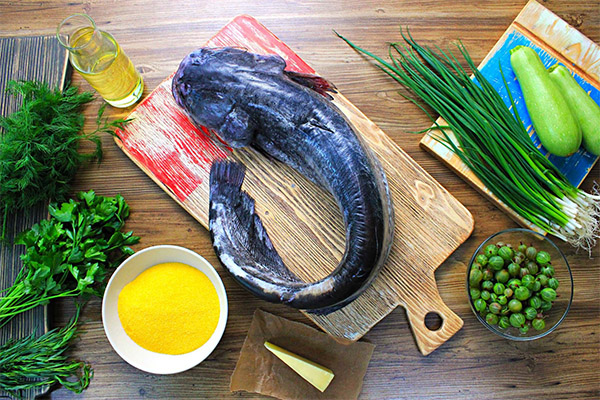كيفية طهي سمك السلور اللذيذ