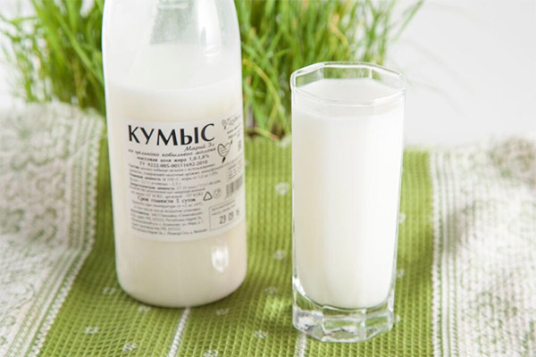 Jaké mléčné výrobky mohou a neměly by být konzumovány při cukrovce