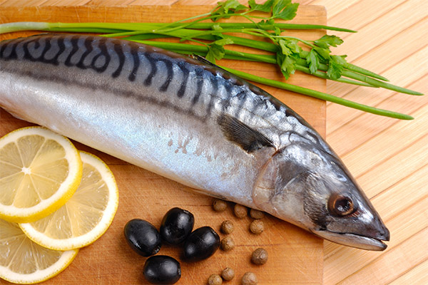 Jaké druhy ryb a mořských plodů mohou a neměly být konzumovány s pankreatitidou