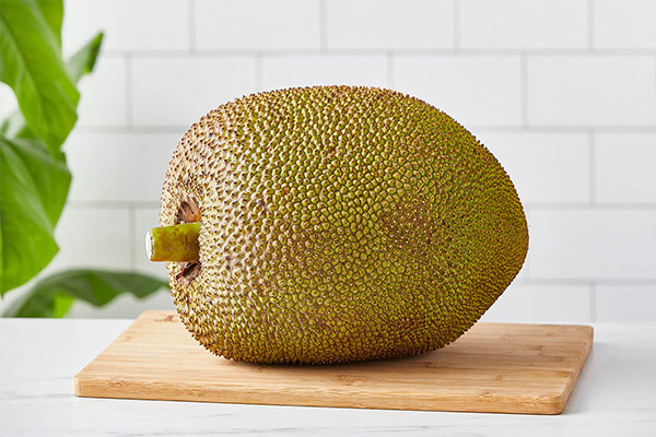 Co se dá vařit z jackfruitů