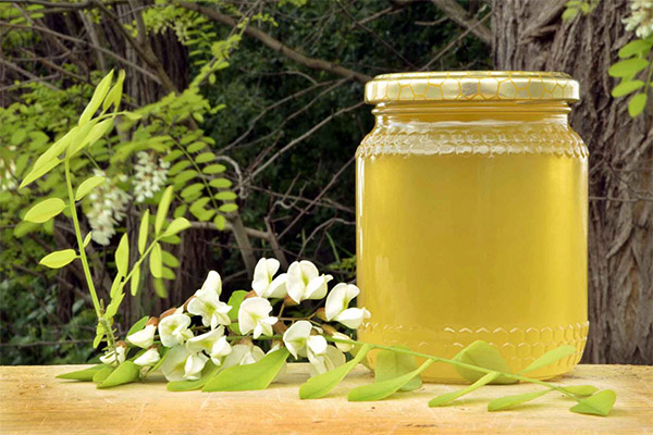 Užitečné vlastnosti medu akátu