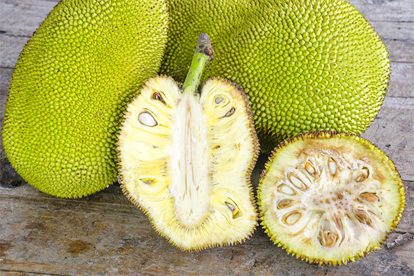 Výhody a poškození Jackfruit