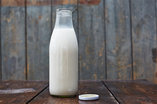 كيف يؤثر الحليب على جسم الإنسان