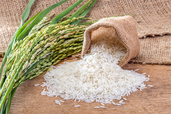Comment le riz affecte le corps humain